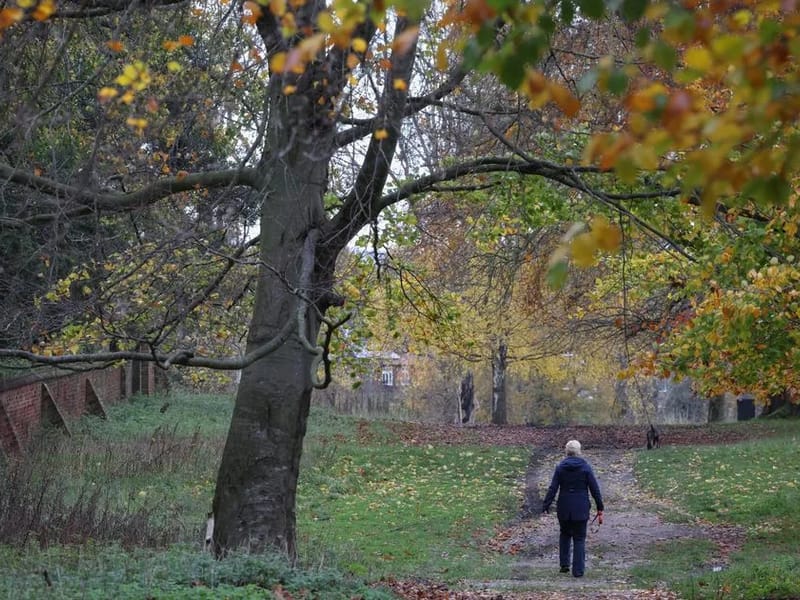 Broadoak Park in Nottingham, England photo 2