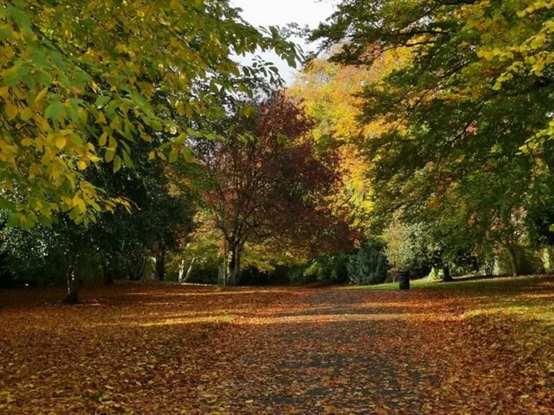 Broadoak Park in Nottingham, England photo 1