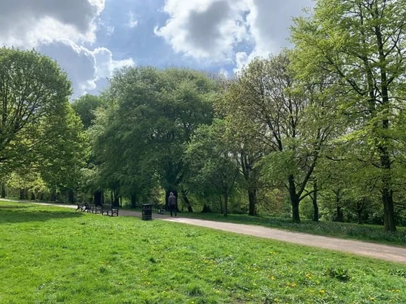 Broadoak Park in Nottingham, England photo 3