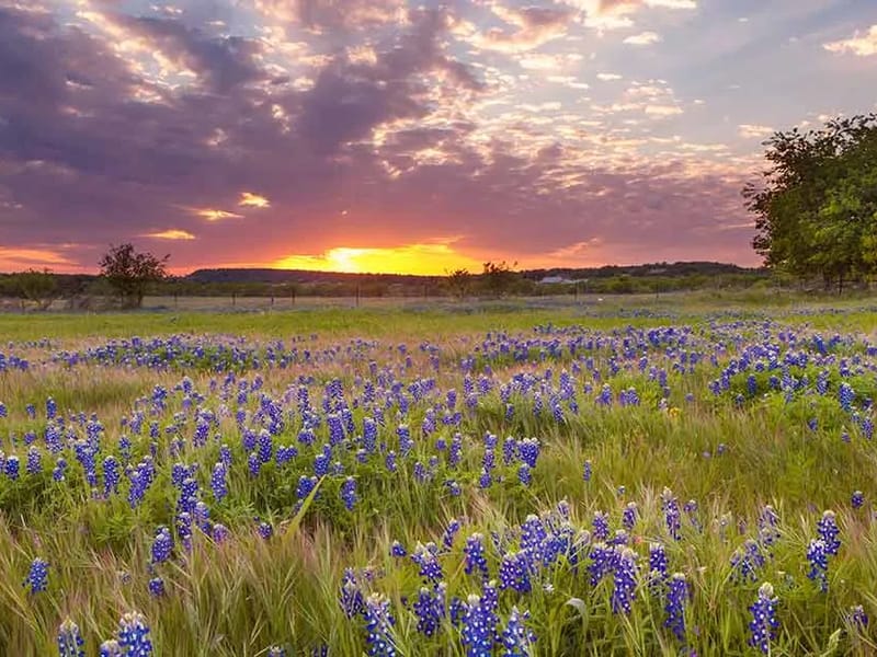 Enhabit Home Health - Home Health Nursing in Temple, TX photo 1