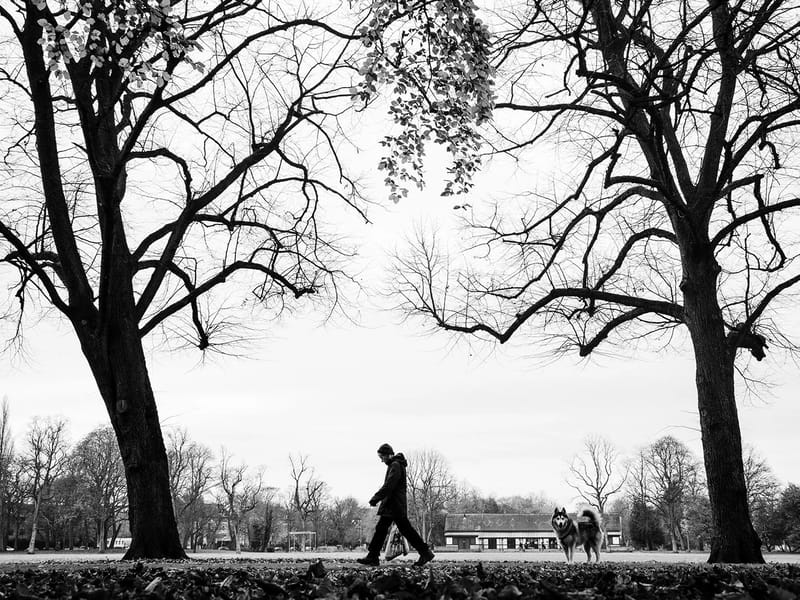 Elmswood Park in Manchester, England photo 2