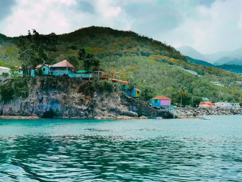 Zicak - Accueil de Jour in BASSE TERRE, Guadeloupe photo 2