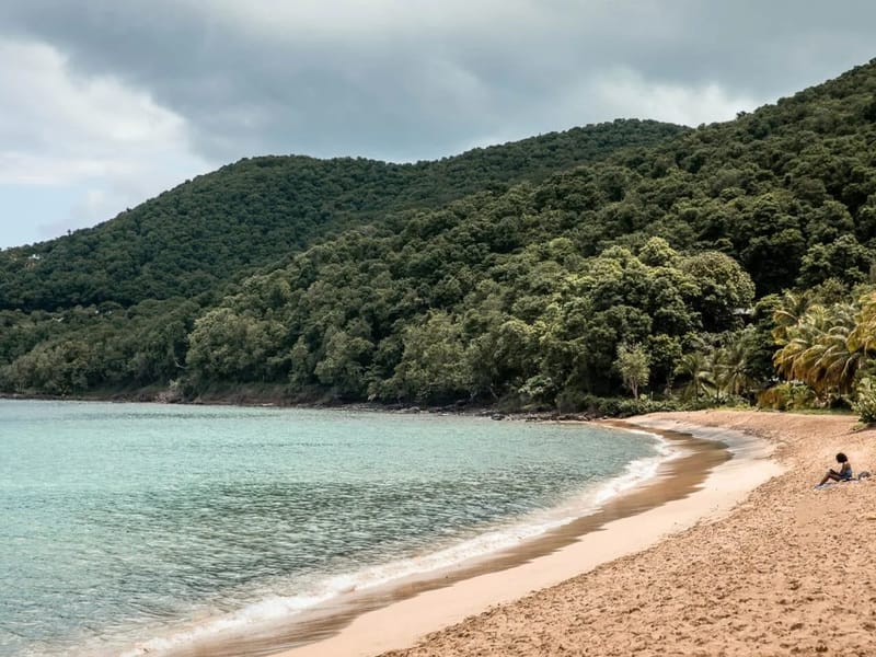 Zicak - Accueil de Jour in BASSE TERRE, Guadeloupe photo 3