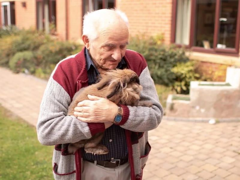 Heatherfield Care Home - Assisted Living in Cramlington, England photo 3