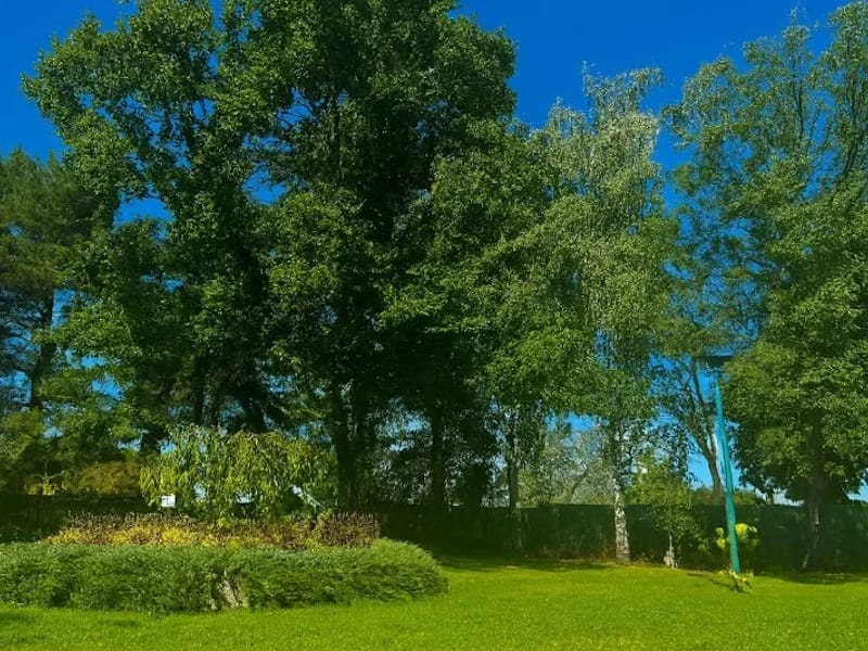 Dom Opieki w Świebodzicach - Hospicjum in Świebodzice, Świebodzice photo 6