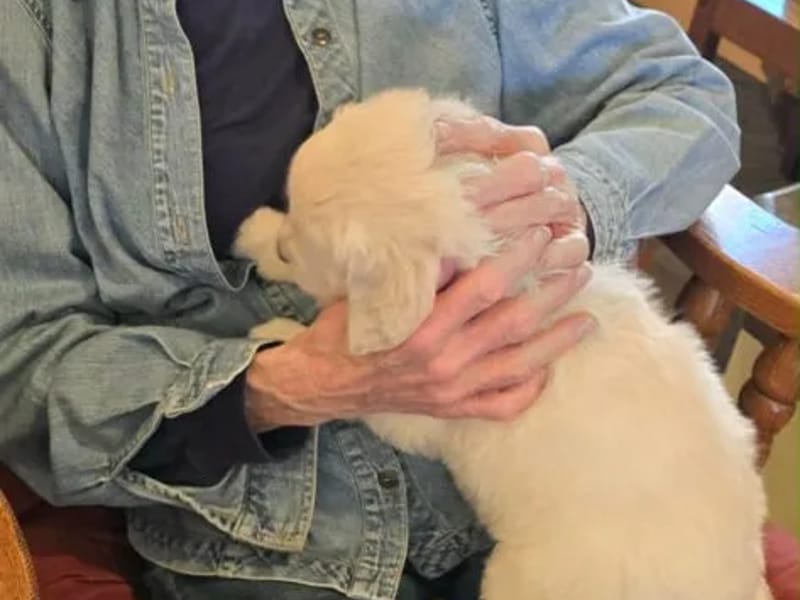 Century Village Assisted Living Community - Adult Day Care in Manhattan, MT photo 3