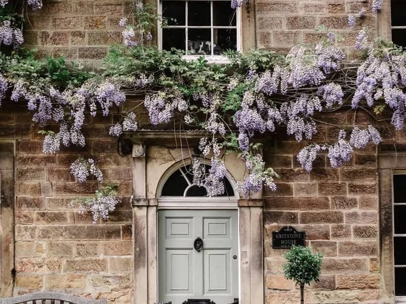 Ivy Cottage in Ashford, England photo 1