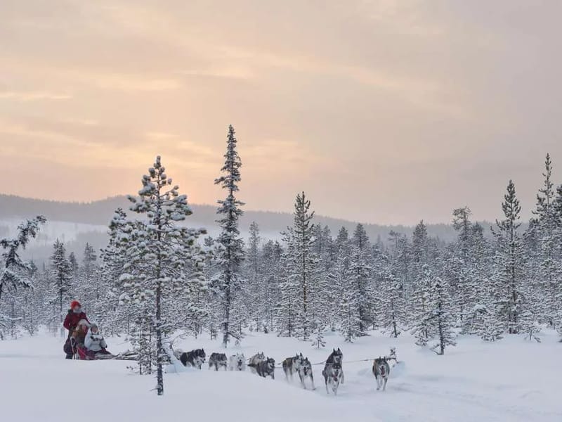 Svegsmon - Serviceboende in Härjedalen, Jämtlands län photo 3