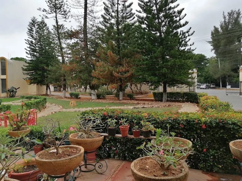 Asilo Brunet Celarain - Hogar de Ancianos in Mérida, Yucatán photo 9