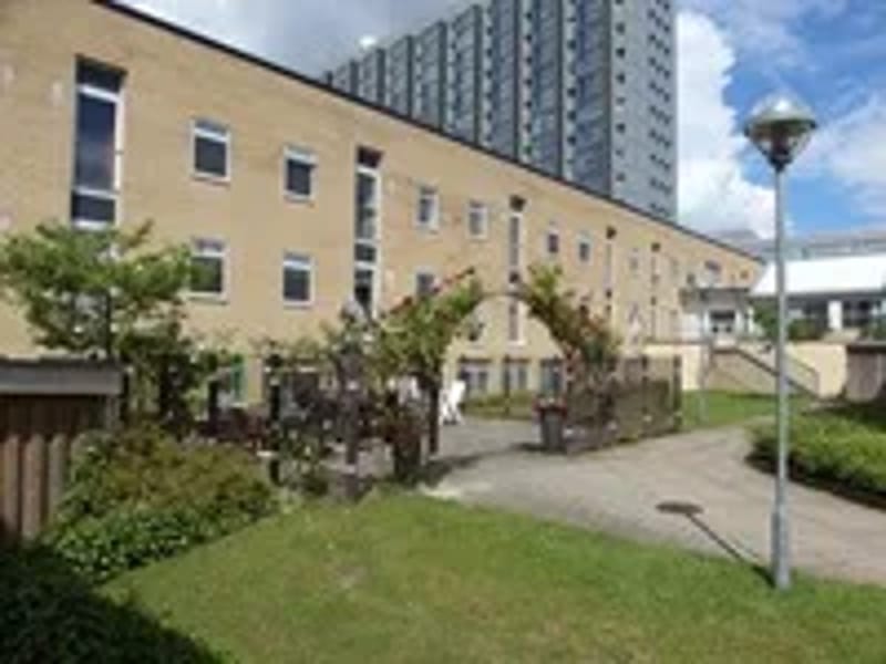 Sirius - Dagaktivitet for voksne in Aalborg, Region Nordjylland photo 2