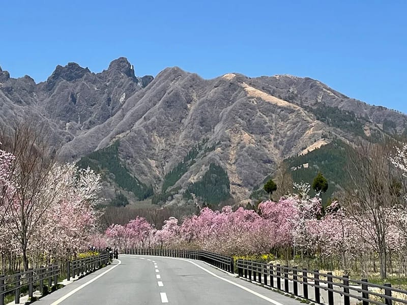 VillaBaikouen - デイサービス in 高森町, 熊本県 photo 4