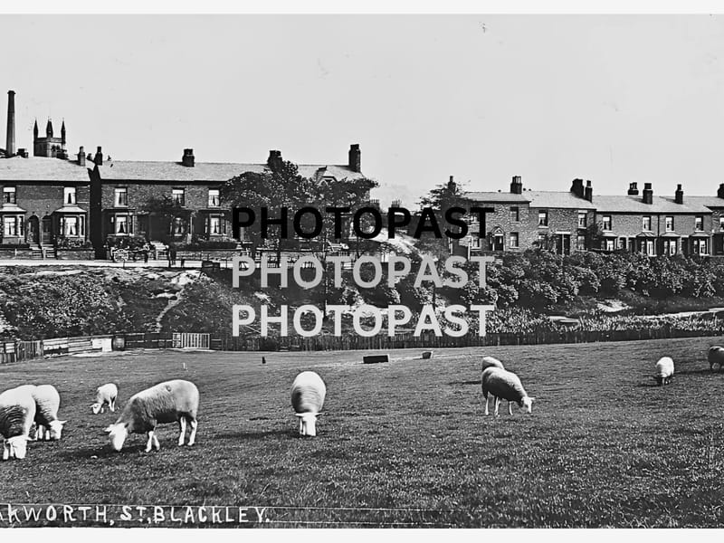 Blackley Premier Care - Nursing Home in Manchester, England photo 2