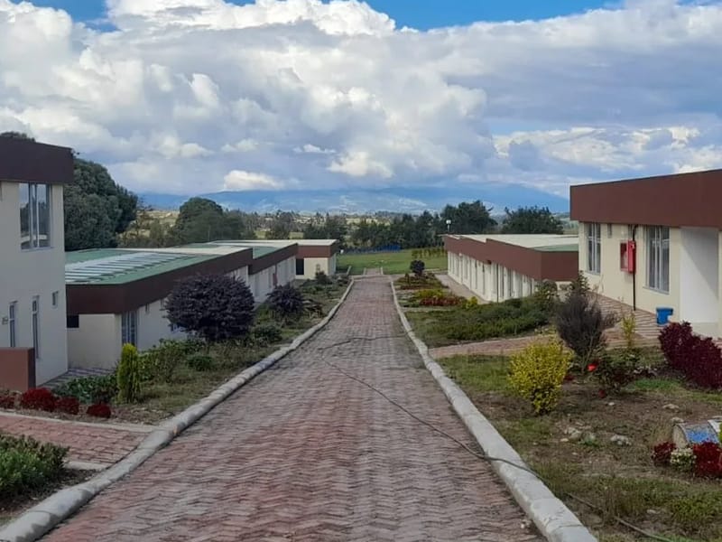 Casa De Reposo Mis Mejores Amigos - Vida Asistida in San Nicolás De Los Garza, Nuevo León photo 2