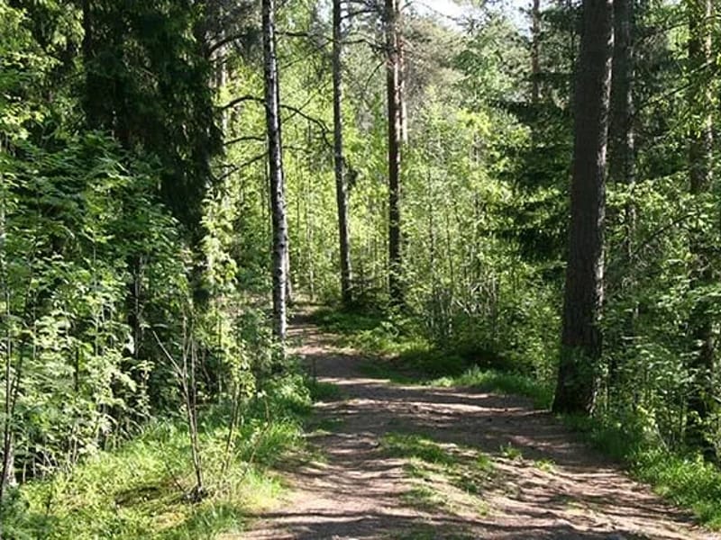 Rävåsen - Äldreboende in Karlskoga, Örebro län photo 3