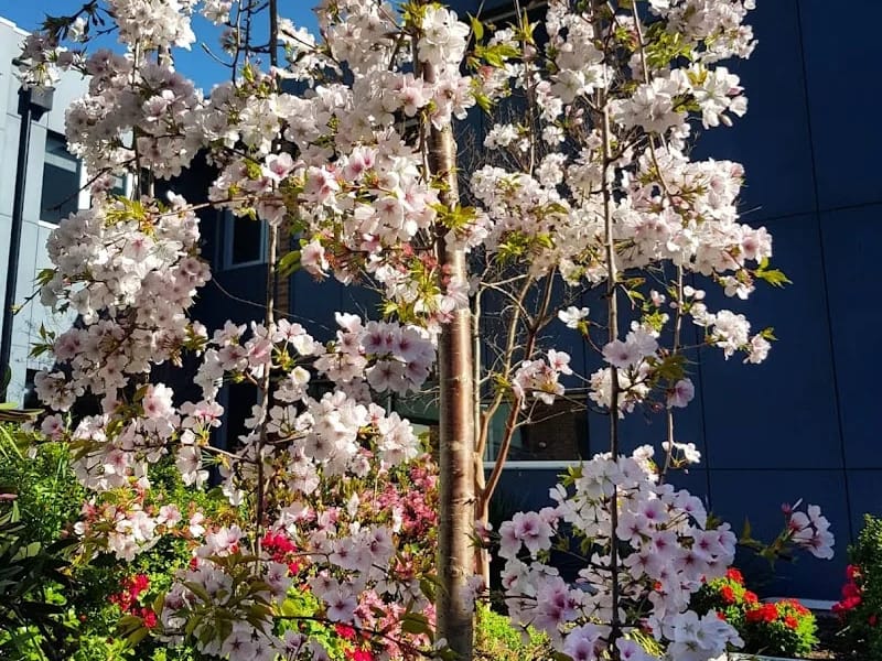 Mercy Place Dandenong - Nursing Home in Dandenong, VIC photo 7
