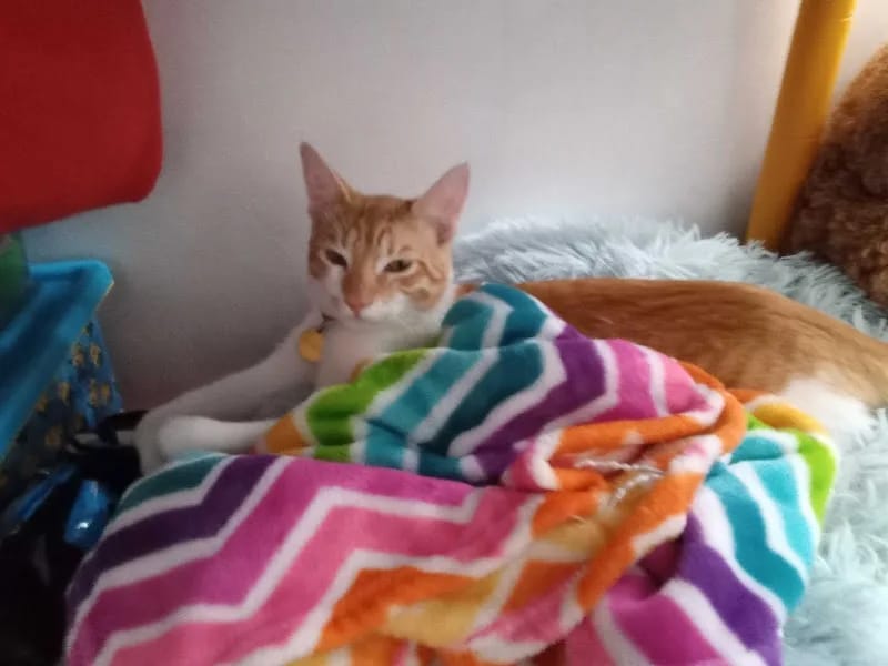 LA CASA DE MIS ABUELITOS - Hogar de Ancianos in San Luis Potosí, San Luis Potosí photo 2