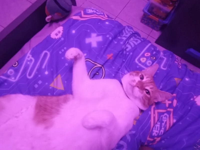 LA CASA DE MIS ABUELITOS - Hogar de Ancianos in San Luis Potosí, San Luis Potosí photo 8