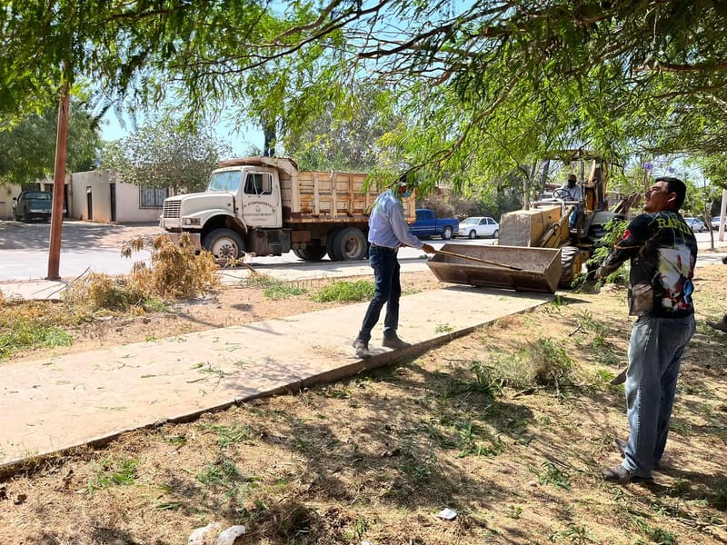 CENTRO RECREATIVO DE ADULTO MAYOR - Hogar de Ancianos in San Ignacio Río Muerto, Sonora photo 2