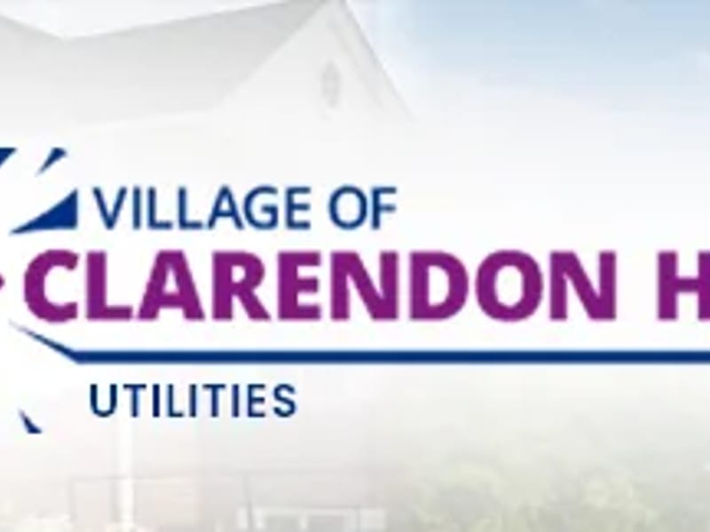 Aledli Home Healthcare, Inc - Home Health Nursing in Clarendon Hills, IL photo 3