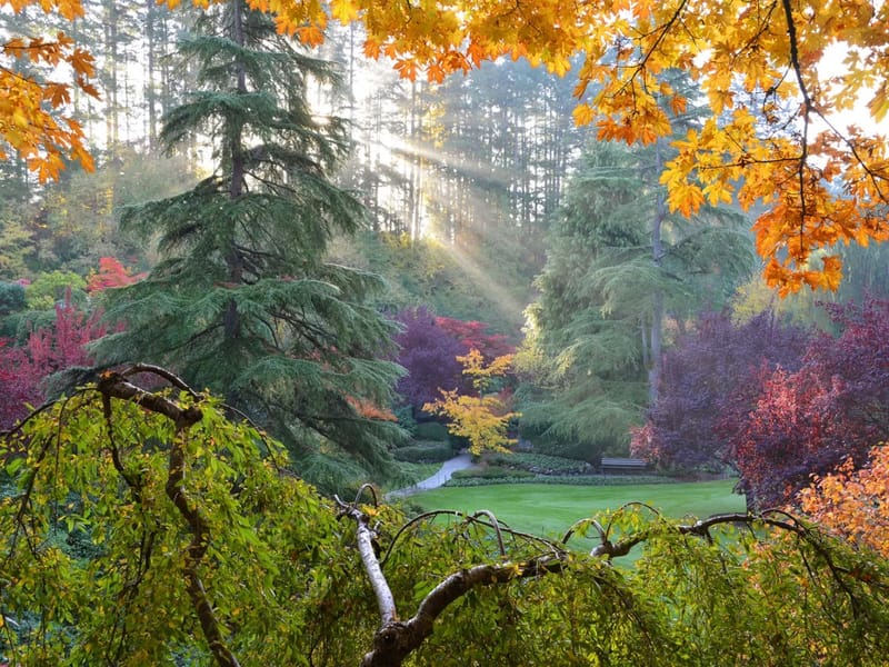 Autumn Gardens in London, England photo 1
