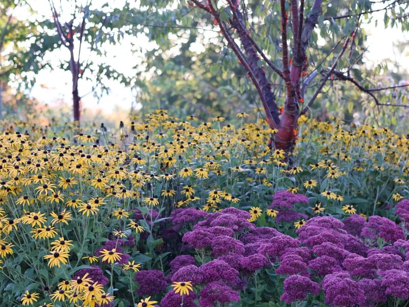 Autumn Gardens in London, England photo 3