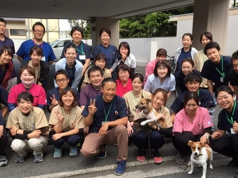 あしたも笑顔訪問看護ステーション - 有料老人ホーム in 葛飾区, 東京都 photo 3