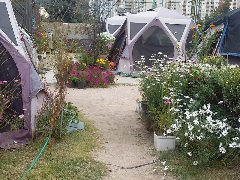 가원노인요양공동생활가정1호점 in 도봉구, 서울특별시 photo 1