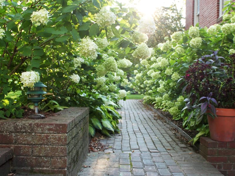 Talbot Gardens in Leeds, England photo 2