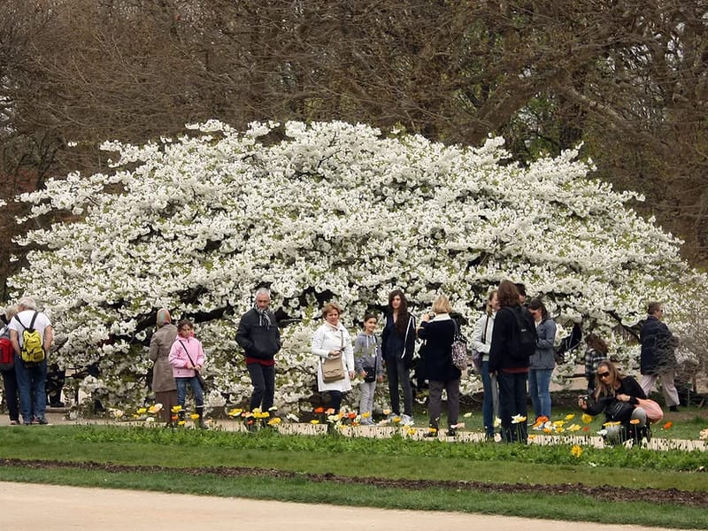 Ehpad Jardin Des Plantes - EHPAD in PARIS, Île-de-France photo 3