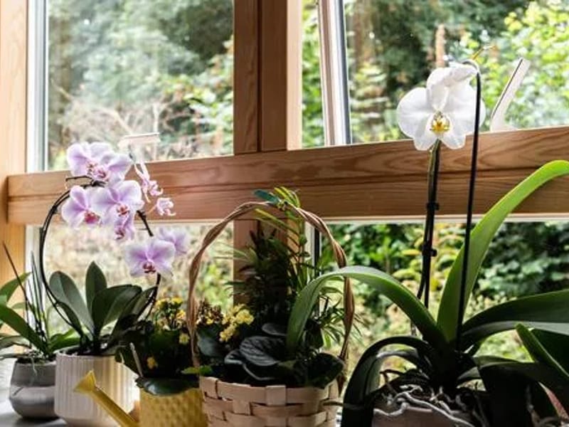 Rusthall Lodge Care Home - Nursing Home in Tunbridge Wells, England photo 2