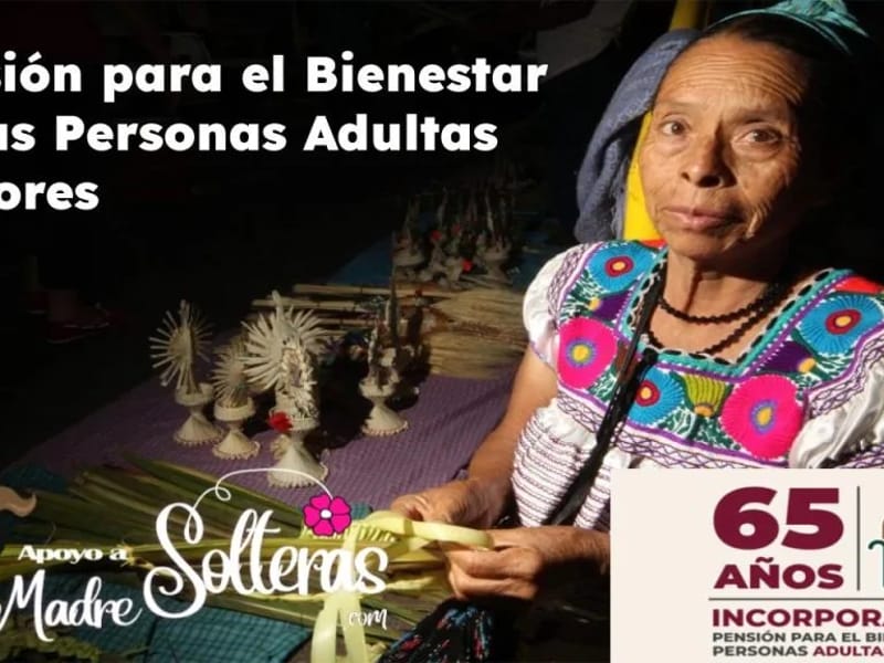PENSION PARA EL BIENESTAR DE LA PERSONAS ADULTAS MAYORES - Vida Asistida in Matías Romero Avendaño, Oaxaca photo 2