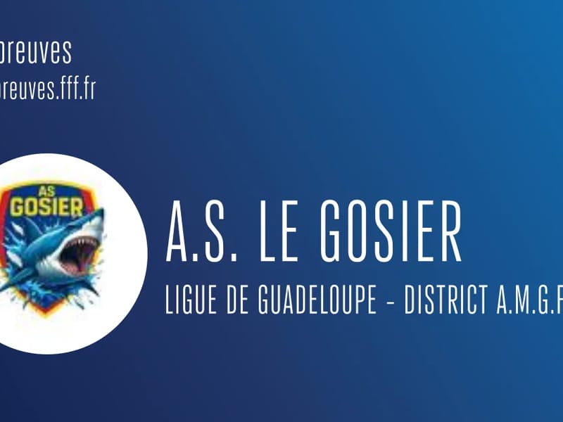 A. G. P. S. - Soins Infirmiers à Domicile in LE GOSIER, Guadeloupe photo 1