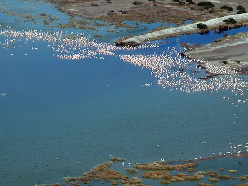 LO DE ISLA - Vida Asistida in TRELEW, CHUBUT photo 2