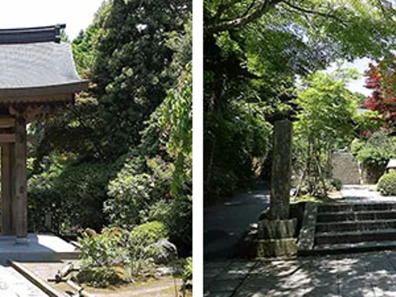 あんの家 - 有料老人ホーム in 鎌倉市, 神奈川県 photo 3