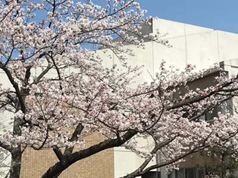 せんだんの丘通所リハビリテーション - 入院リハビリ in 仙台市, 宮城県 photo 1