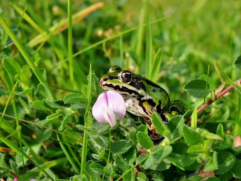 Hemvård Smyge - Hemtjänst in Trelleborg, Skåne län photo 1