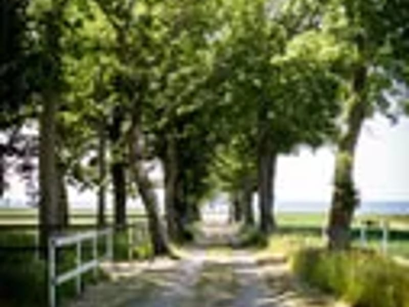 Hemvård Smyge - Hemtjänst in Trelleborg, Skåne län photo 2