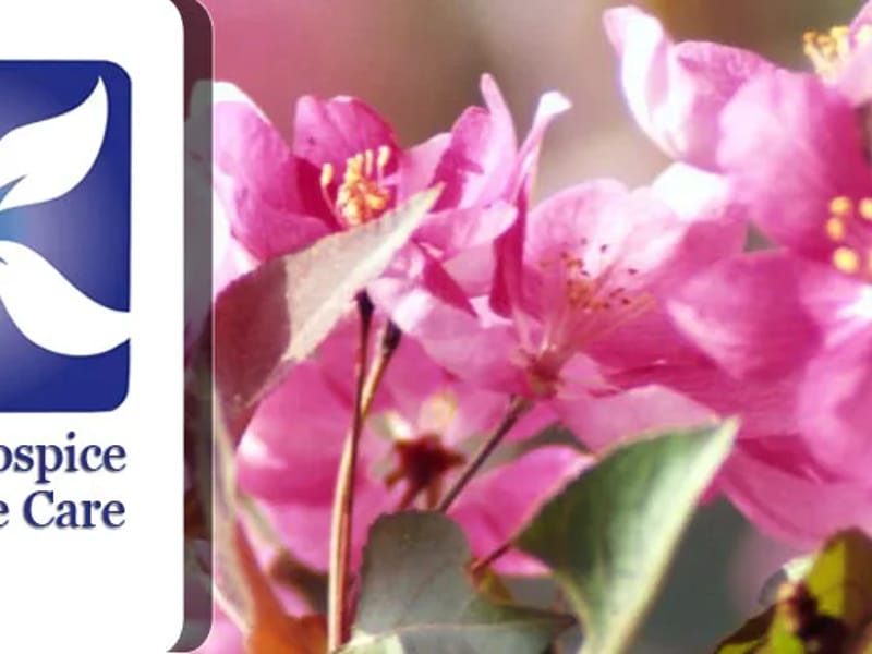 Avalon Hospice & Palliative Care - Hospice in San Diego, CA photo 1