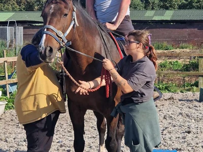 Shy Lowen Care Limited in Gloucester, England photo 7