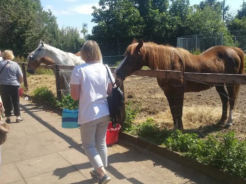 Shy Lowen Care Limited in Gloucester, England photo 4