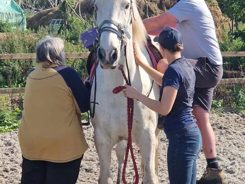 Shy Lowen Care Limited in Gloucester, England photo 6