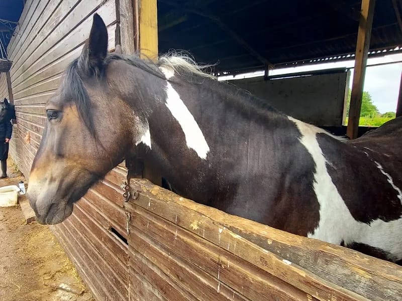 Shy Lowen Care Limited in Gloucester, England photo 5