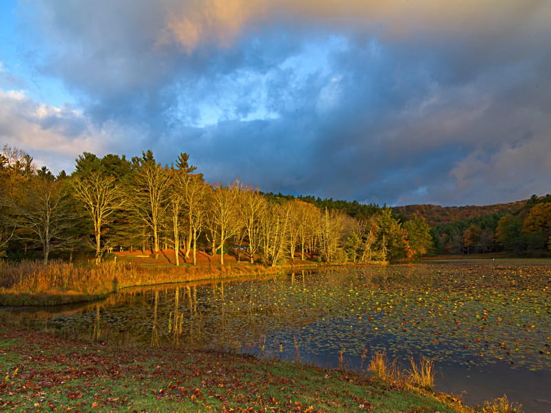 Autumn Carolina LLC - Home Health Nursing in Charlotte, NC photo 3