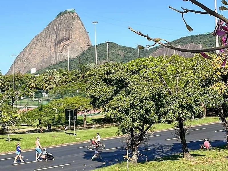 Brincar E Transformar - Cuidado Domiciliar in Rio De Janeiro, RJ photo 2