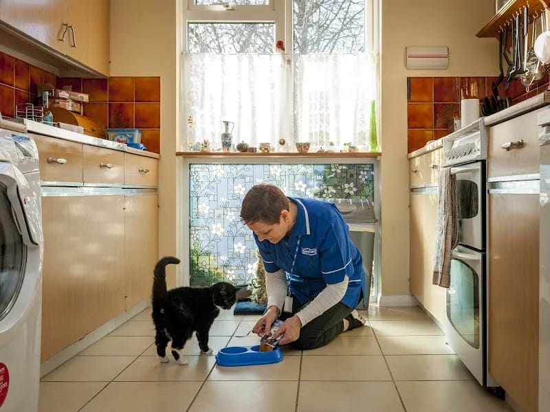 Caremark Ashford & Shepway - In-Home Care in Ashford, England photo 2