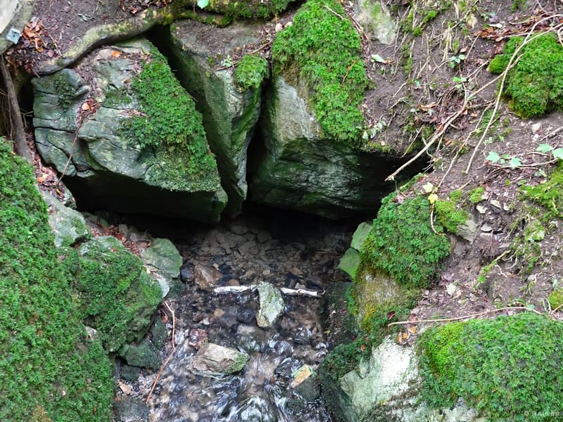 "Hand in Hand" - Pflegeheim in Breitscheid, Hessen photo 2