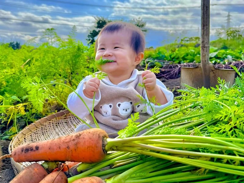 りほくケアネットワーク - 有料老人ホーム in 韮崎市, 山梨県 photo 1