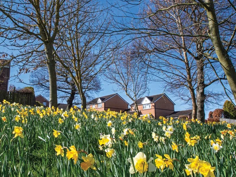 Shaftesbury Beaumont Court - Assisted Living in Prudhoe, England photo 3