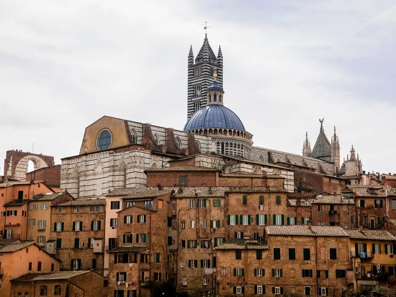 CENTRO DIURNO SIENA - Centro Diurno in Siena, SI, Toscana photo 2