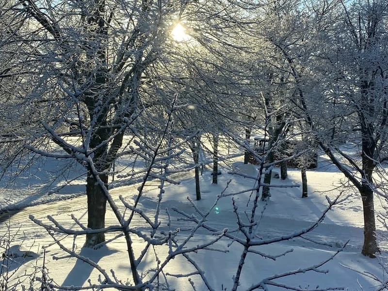 Vintervägen - Äldreboende in Växjö, Kronobergs län photo 2